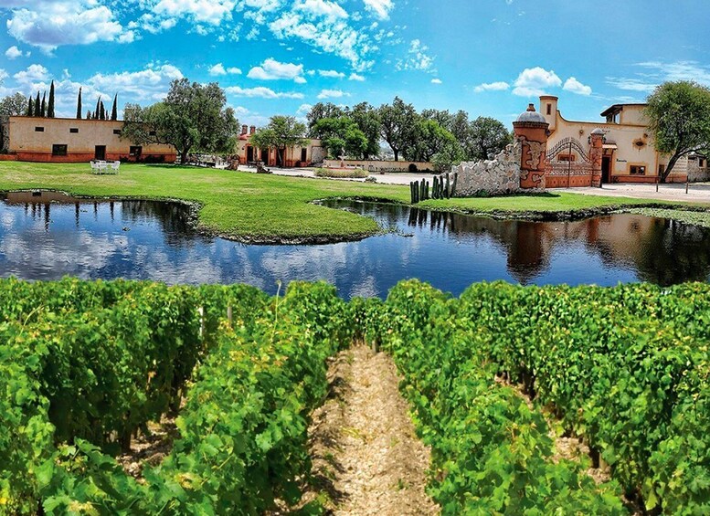 Santiago de Querétaro Pueblos Mágicos Cheese and Wine Route