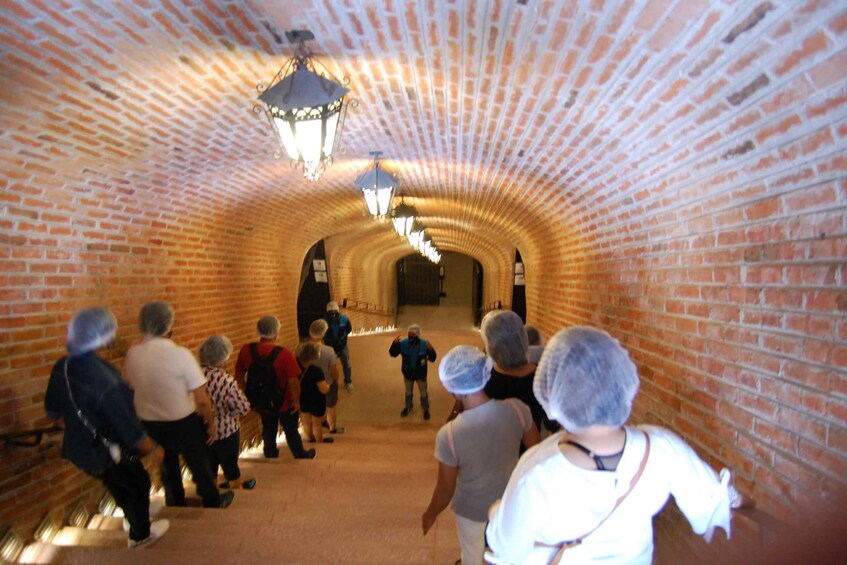 Santiago de Querétaro: Pueblos Mágicos Cheese and Wine Route