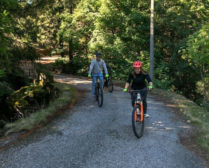 Picture 3 for Activity Serra da Estrela: Private E-Bike Tour with Observatory