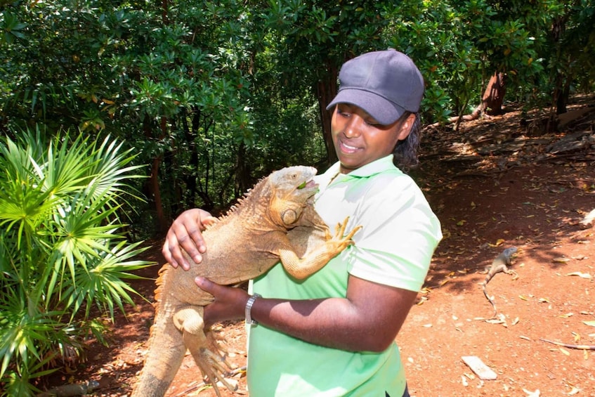 Picture 6 for Activity Roatan Visitor Adventure Bliss