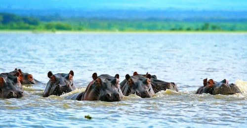 From Nairobi, Day tour to Hells Gate National Park