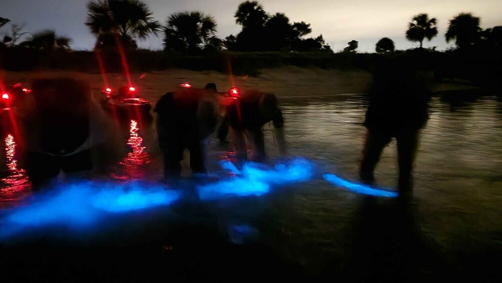 Picture 12 for Activity Orlando: Bioluminescence Kayak and Swim Adventure