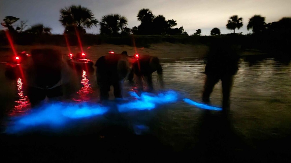 Picture 12 for Activity Orlando: Bioluminescence Kayak and Swim Adventure