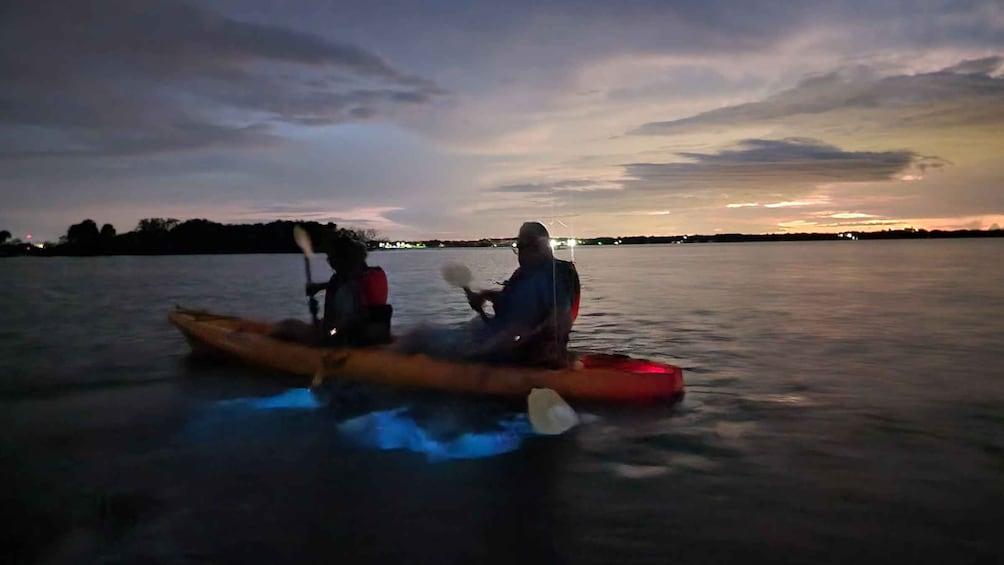 Picture 14 for Activity Orlando: Bioluminescence Kayak and Swim Adventure