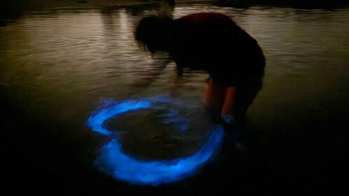 Orlando : Aventure en kayak et baignade dans les bioluminescences