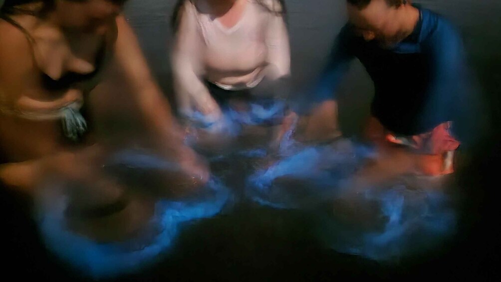 Picture 6 for Activity Orlando: Bioluminescence Kayak and Swim Adventure