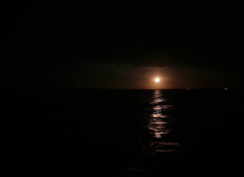 Picture 13 for Activity Orlando: Bioluminescence Kayak and Swim Adventure
