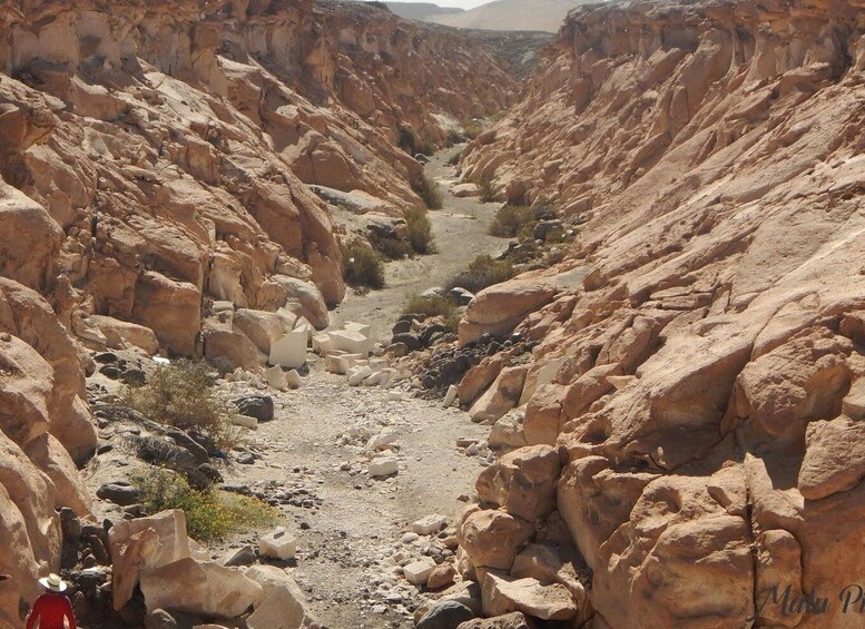 Picture 10 for Activity From Arequipa |Tour of the Sillar Route + Culebrillas Canyon