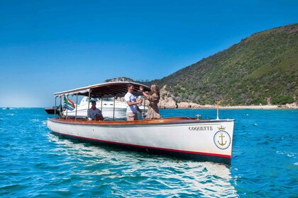 Knysna: Sightseeing Cruise on Coquette