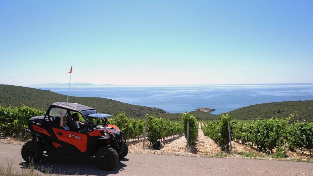 Picture 8 for Activity Korcula Island: Buggy Beach Safari with Lunch and Snorkeling