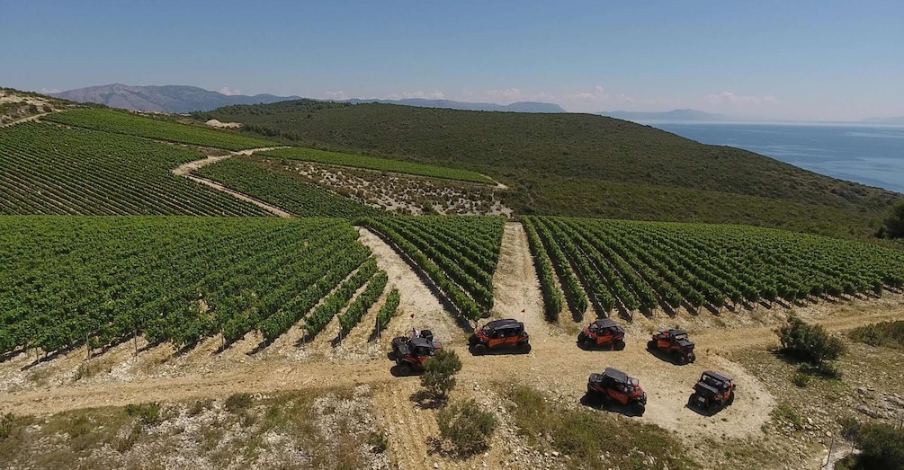 Picture 4 for Activity Korcula Island: Buggy Beach Safari with Lunch and Snorkeling