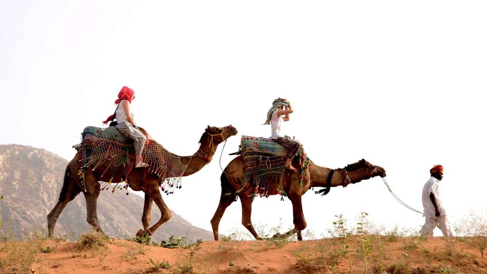 Picture 1 for Activity Pushkar Day Trip with Camel Safari From Jaipur By Car.