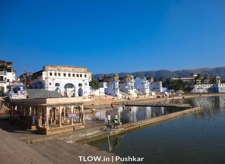 Picture 5 for Activity Pushkar Day Trip with Camel Safari From Jaipur By Car.