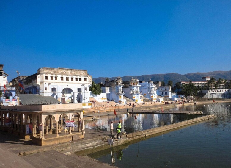 Picture 5 for Activity Pushkar Day Trip with Camel Safari From Jaipur By Car.