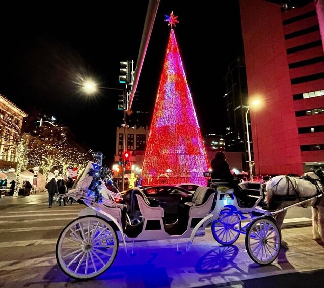 Picture 7 for Activity Denver: Holiday Lights & History Walking Tour