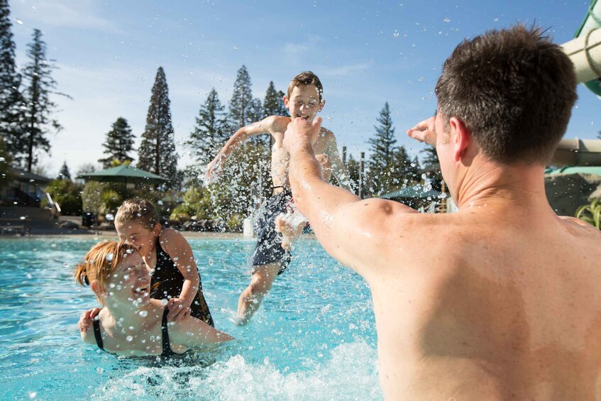 Picture 2 for Activity Hanmer Springs: Thermal Pools Single or Return Entry Ticket