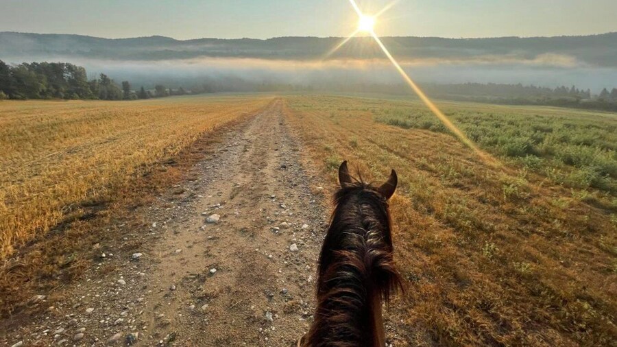 Romantic horseback riding at sunset : La Crépuscule