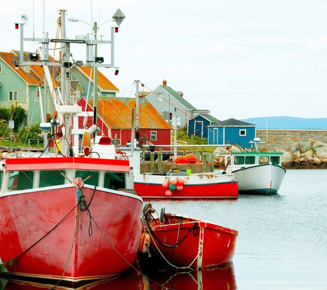 Picture 3 for Activity Discover Peggy's Cove: Private Journey from Halifax