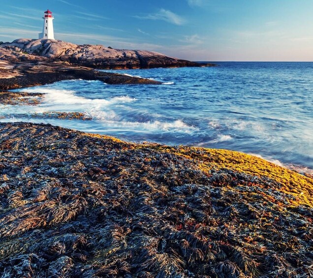 Discover Peggy's Cove: Private Journey from Halifax