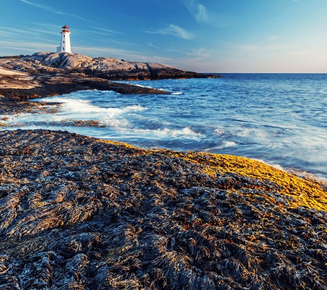 Discover Peggy's Cove: Private Journey from Halifax