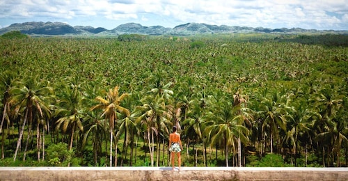 Siargao Tour B (Private Tour)