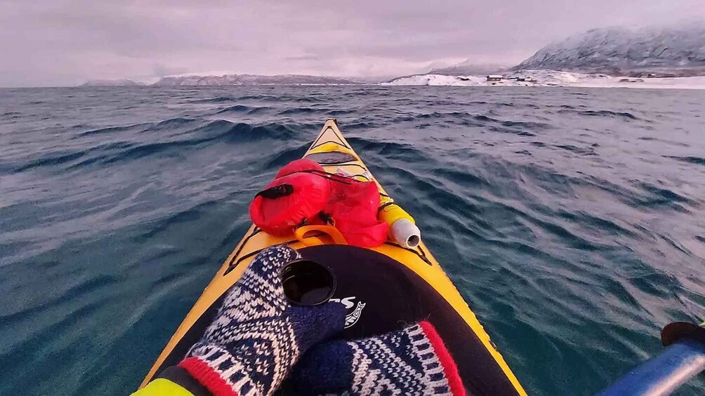 Skrova Island, Winter Guided Kayak Tour, 2hours