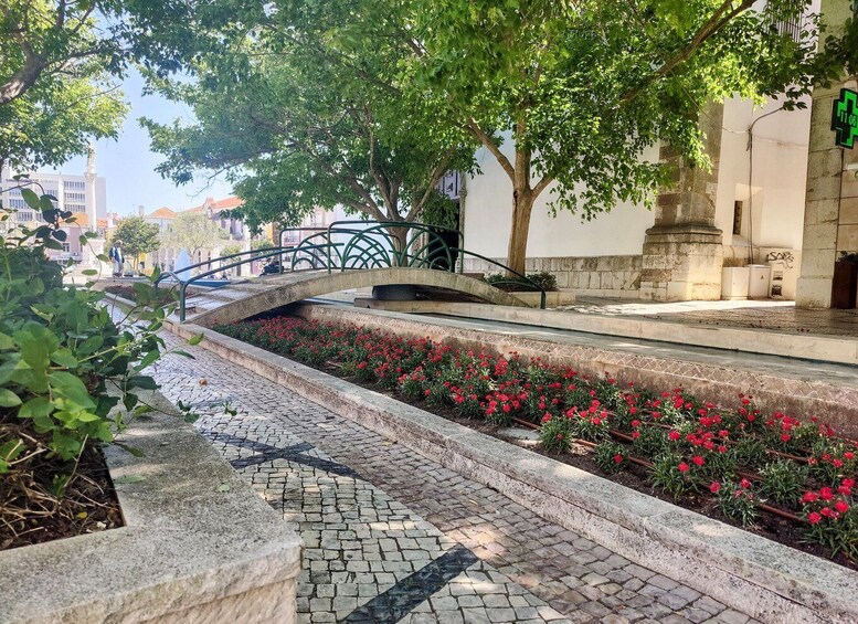 Picture 17 for Activity Setúbal: Private Walking Tour