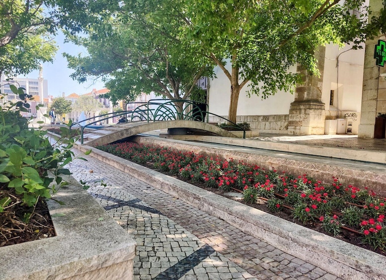Picture 17 for Activity Setúbal: Private Walking Tour