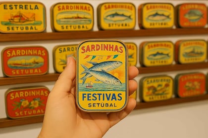 Setúbal Private Walking Tour: Off-the-Beaten-Path Charms