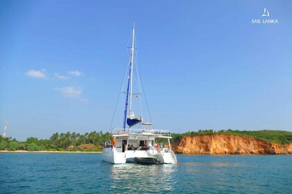 Sail Lanka Charter - Whale Watching Cruises