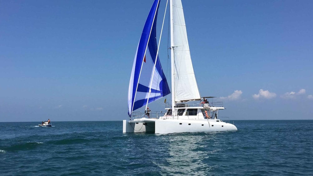 Picture 3 for Activity Sail Lanka Charter - Whale Watching Cruises