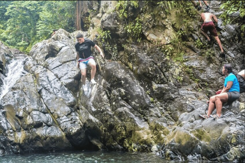 Picture 4 for Activity Vivid Day Tour in El Yunque Rain Forest with Transportation