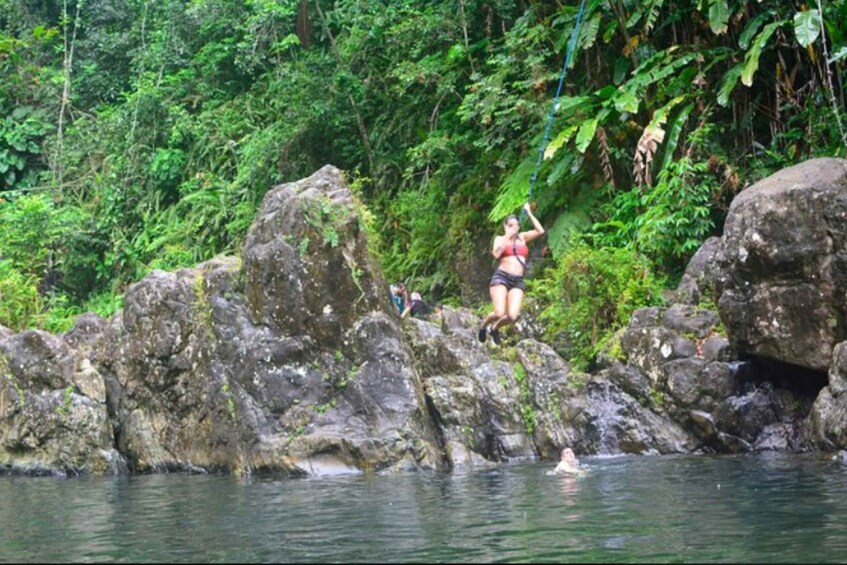 Picture 3 for Activity Vivid Day Tour in El Yunque Rain Forest with Transportation