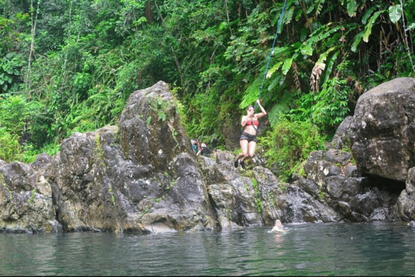 Picture 3 for Activity Vivid Day Tour in El Yunque Rain Forest with Transportation