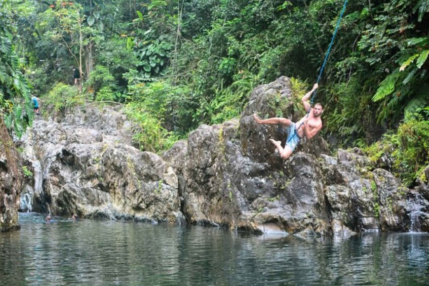 Picture 6 for Activity Vivid Day Tour in El Yunque Rain Forest with Transportation