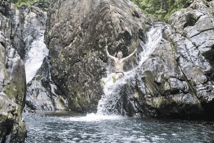 Vivid Day Tour in El Yunque Rain Forest with Transportation