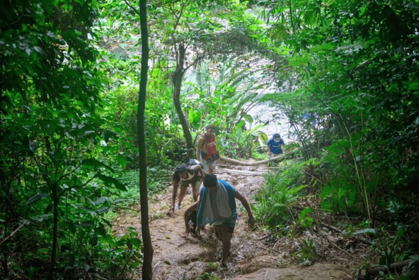 Picture 1 for Activity Vivid Day Tour in El Yunque Rain Forest with Transportation