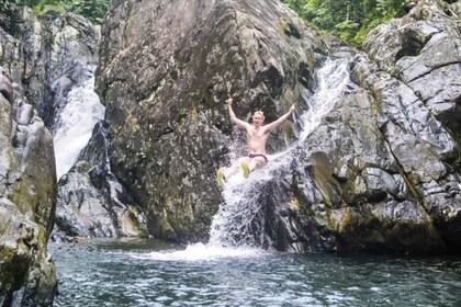 Vivid Day Tour in El Yunque Rain Forest with Transport