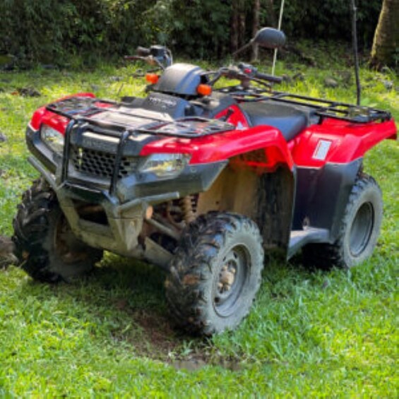 Picture 1 for Activity Uvita, Costa Rica: ATV & Buggies Adventure Tour