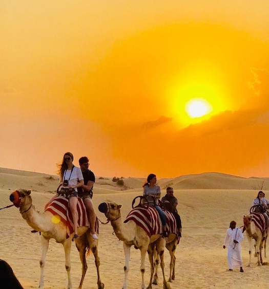 Picture 9 for Activity Qatar: Sunset Desert Safari with Camel Ride & Sandboarding