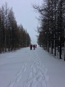 Saint-Jean-de-l'Île-d'Orléans: Self-Guided Snowshoeing Trip