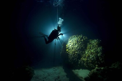 Night dive trip in Fujairah with BBQ Dinner