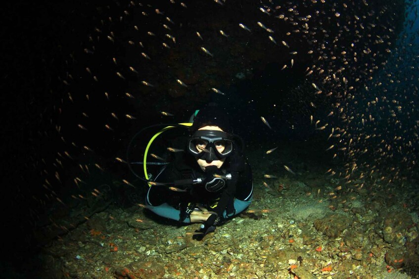 Picture 1 for Activity Night dive trip in Fujairah with BBQ Dinner