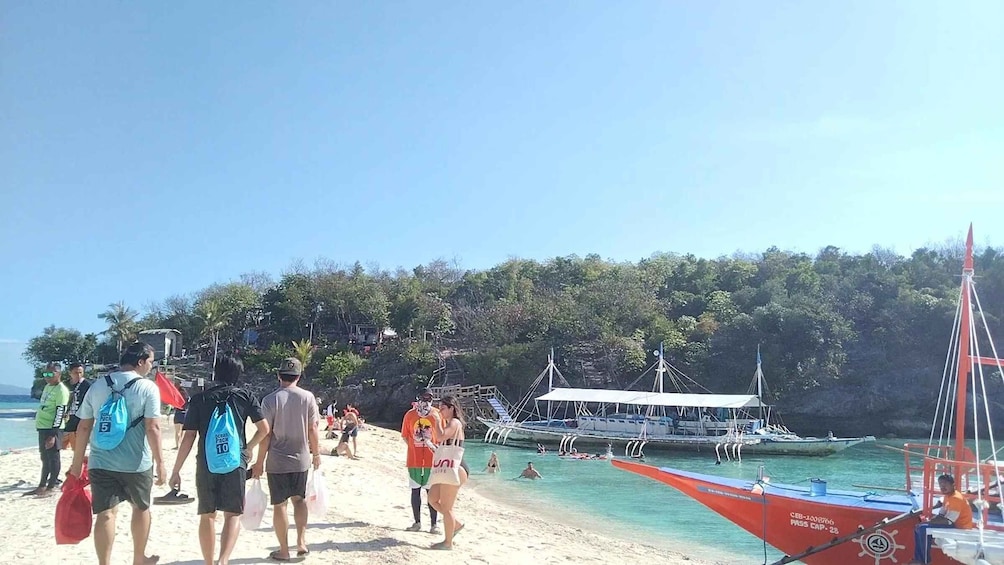 Picture 11 for Activity Oslob: Whaleshark Swimming, Tumalog Falls & Sumilon Island