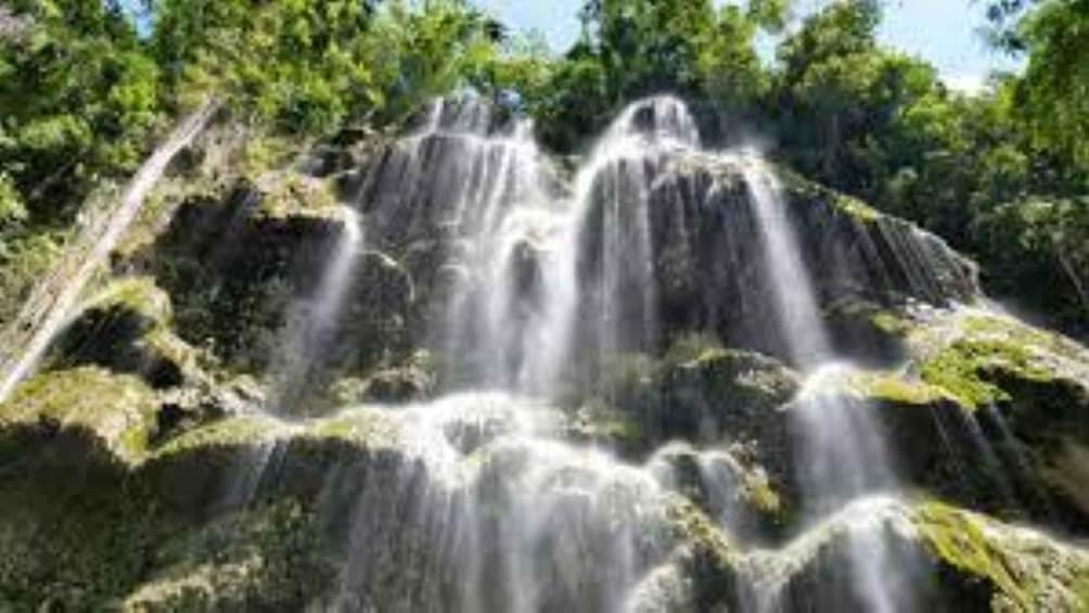 Picture 1 for Activity Oslob: Whaleshark Swimming, Tumalog Falls & Sumilon Island