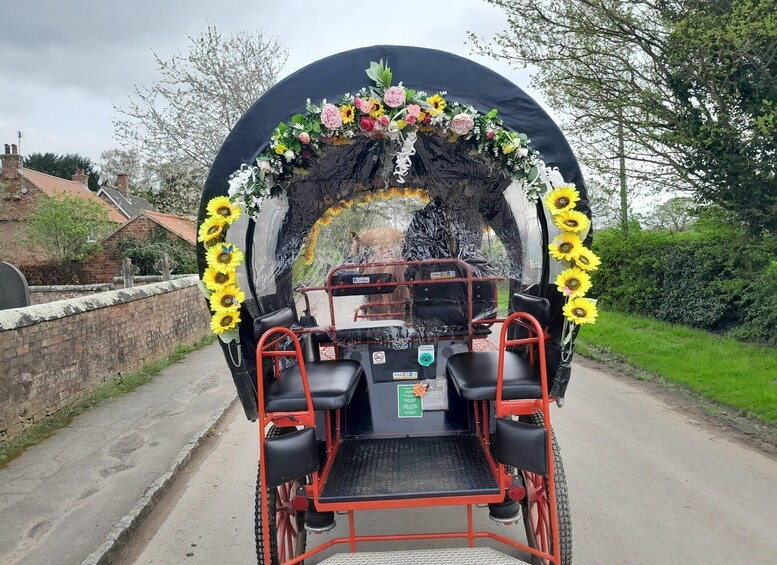 Picture 5 for Activity York: Horse Drawn Carriage ride & Cream Tea