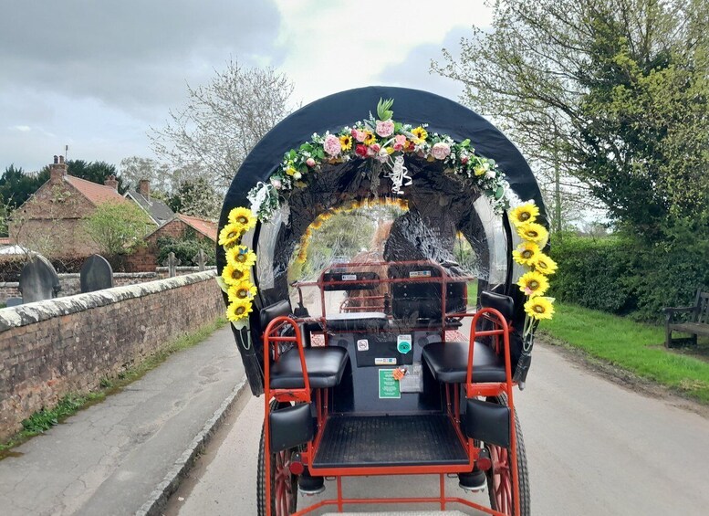 Picture 2 for Activity York: Horse Drawn Carriage ride & Cream Tea