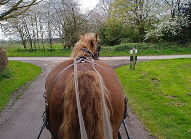 York: Paseo en coche de caballos y té con nata