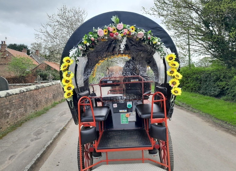 Picture 5 for Activity York: Horse Drawn Carriage ride & Cream Tea
