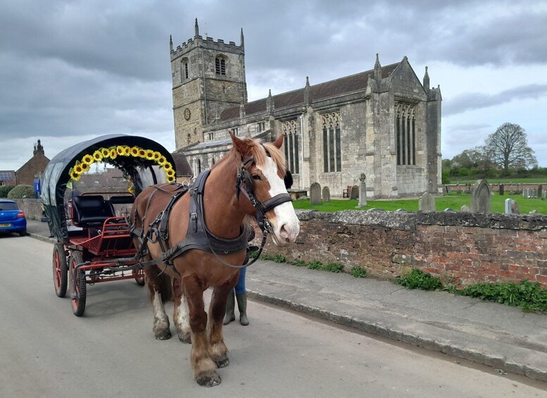 Picture 4 for Activity York: Horse Drawn Carriage ride & Cream Tea
